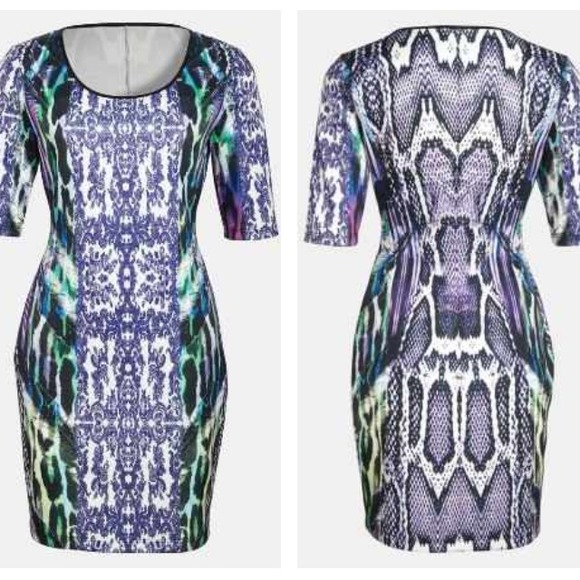 Cosette brand bodycon dress