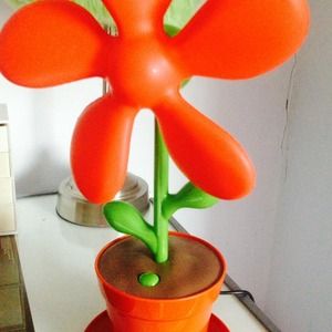 flower fan