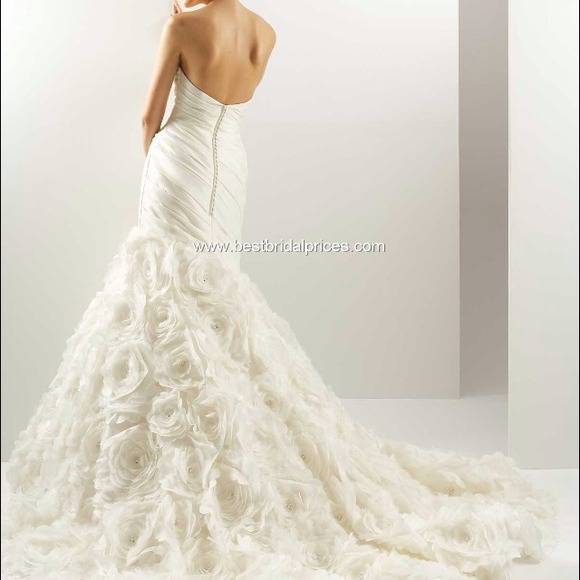 The back