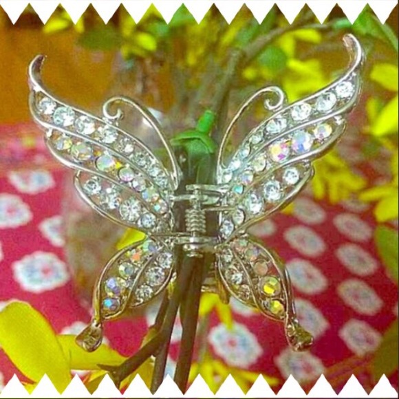 Gorgeous Butterfly Clip