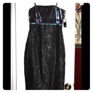 NWT dress by Adriana Papell. Size 6 gorgeous !