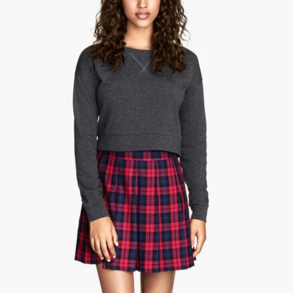 H&m Plaid Pleated Skirt
