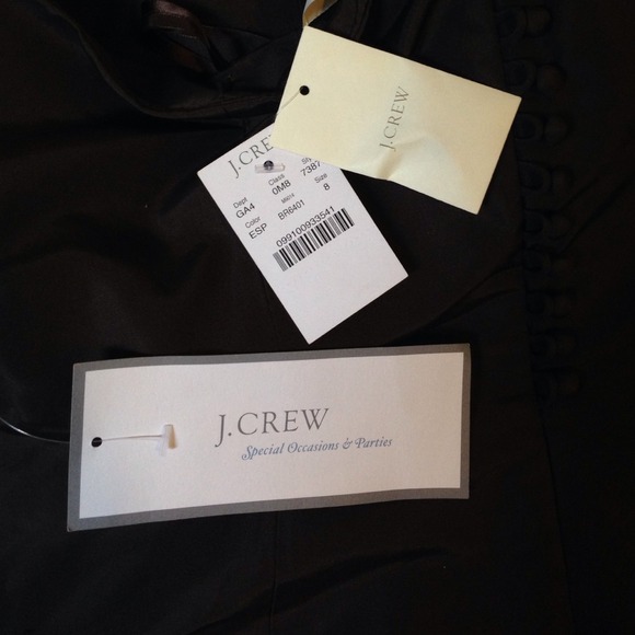 SOLD! J. Crew Special Occasion and Party dress! - Picture 3 of 4