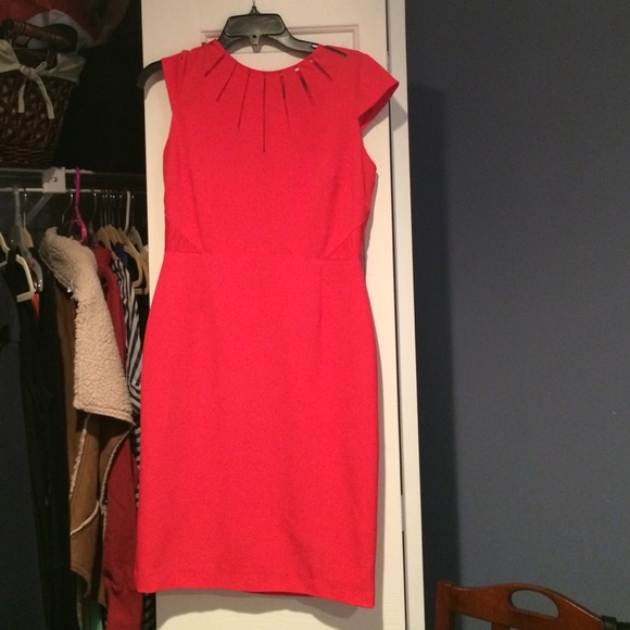Adrianna Papell Pink Coral Dress Size 6
