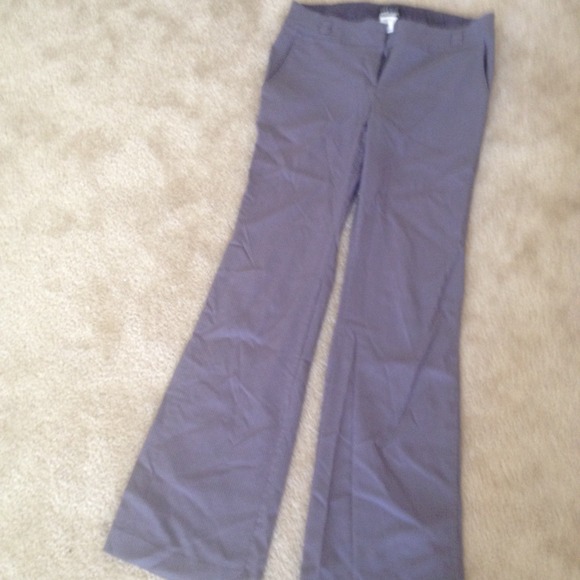 Dressy pants