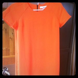 NWOT Orange Shift dress