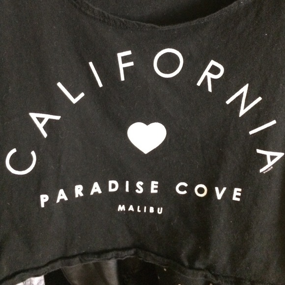 Brandy Melville Crop Top