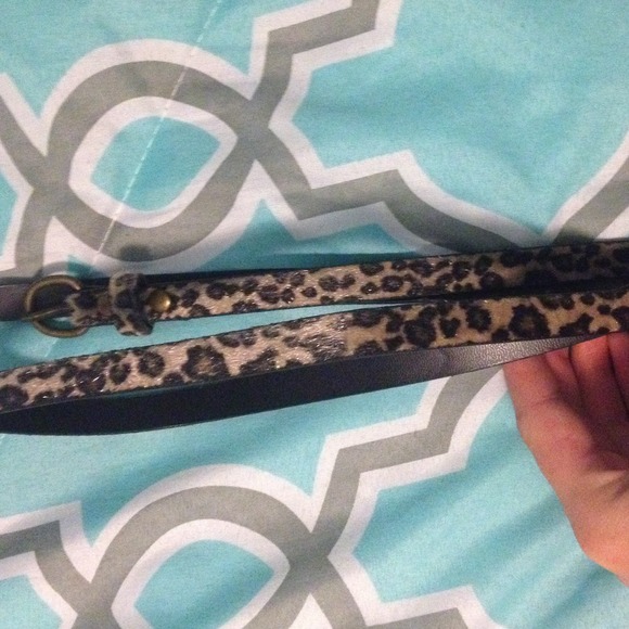 Cheetah print belt