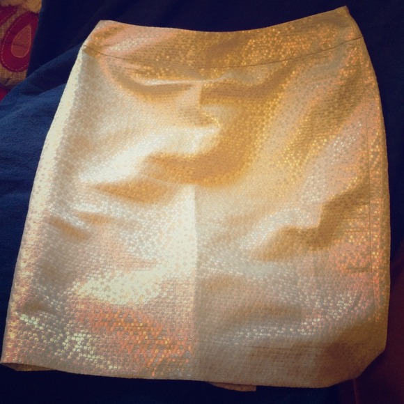 Loft 00P Skirt (Shiny/Silver)