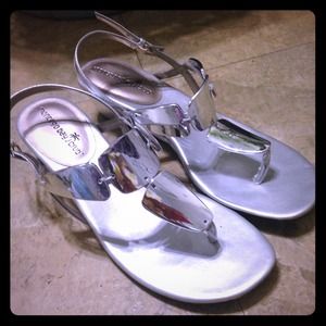 Silver wedges