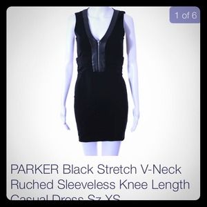 NWOT Parker dress