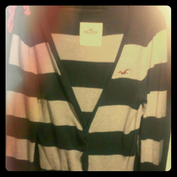 Hollister Sweater
