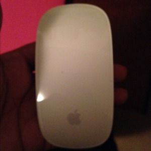 The apple Magic Mouse.