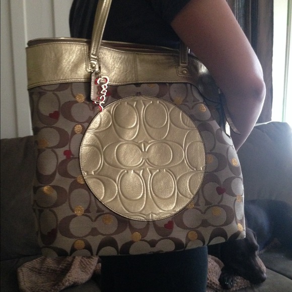 Coach bag and matching wallet