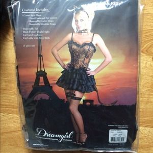 Sexy Kitty Halloween costume