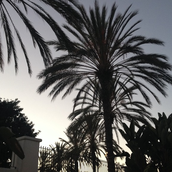 Lotions and Skirt Bundle Trade