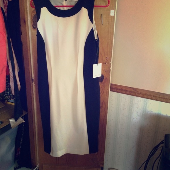 Calvin Klein sleeveless dress color blocked sheath
