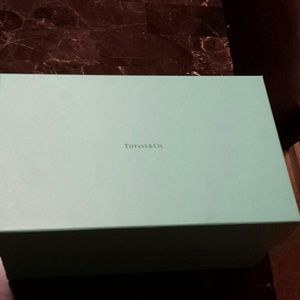 *Brand New* Tiffany &  Co Champagne Flutes