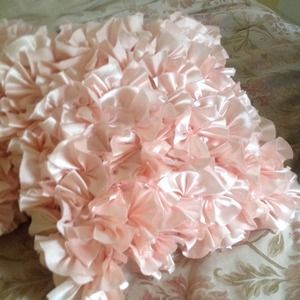 2 Decorative throw pillows