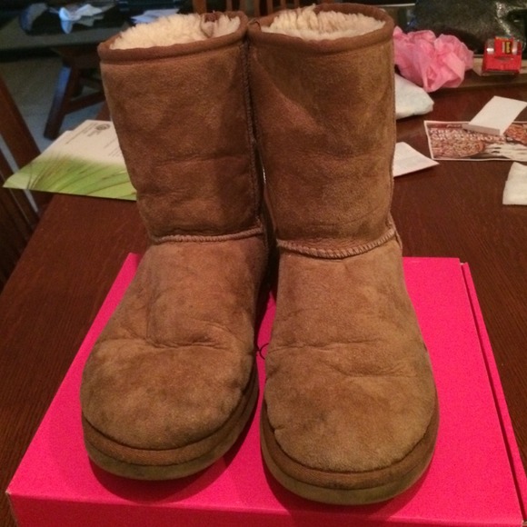 UGG Chestnut Boots Size 6