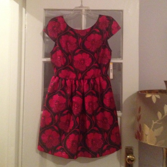 Reduced!  Alice + Oliva dress!  Brand new.