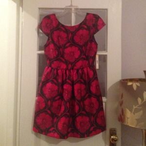 Reduced!  Alice + Oliva dress!  Brand new.