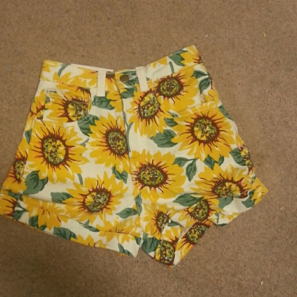 American Apparel Denim - American Apparel Sunflower High Waisted Shorts