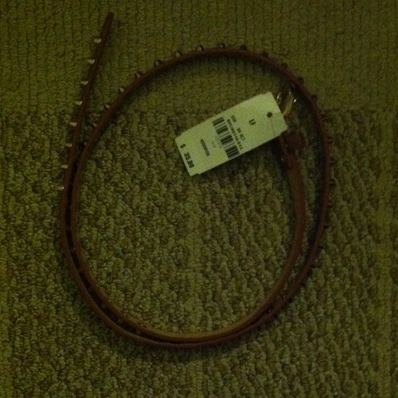 LF studded belt