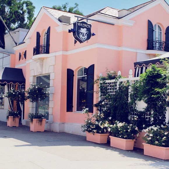 ❤️ newest Wildfox finds !