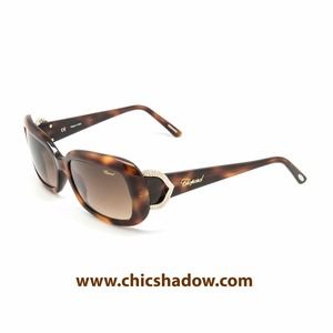 CHOPARD SCH 088S Shiny Havana And Gold Sunglasses