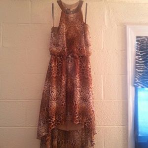 Michelle Bohbot leopard print dress.