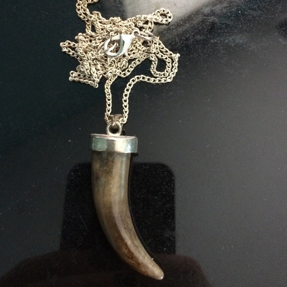 Claw/ Tooth & Mushroom necklace