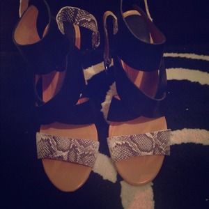 Zara Collection by Basic