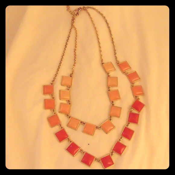 Francesca's Two Tone necklace