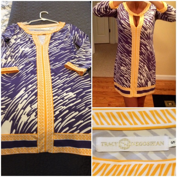 Tracy negoshian dress purple and gold