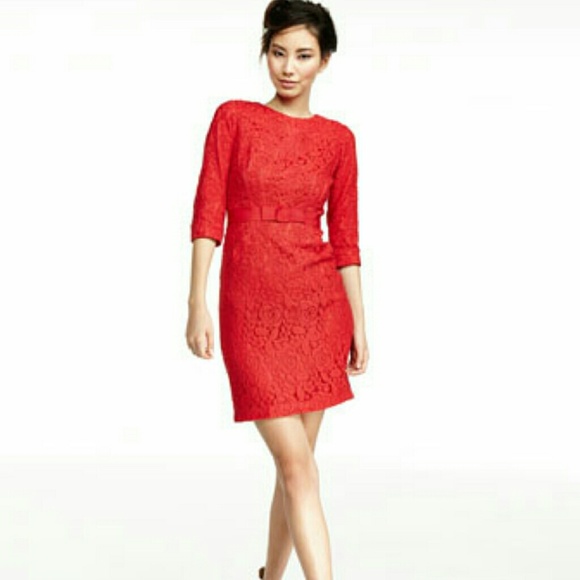 Gorgeous purple lace dress from Taylor - Picture 3 of 4