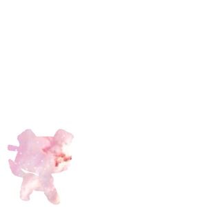 Bundle for @lbrooke4263