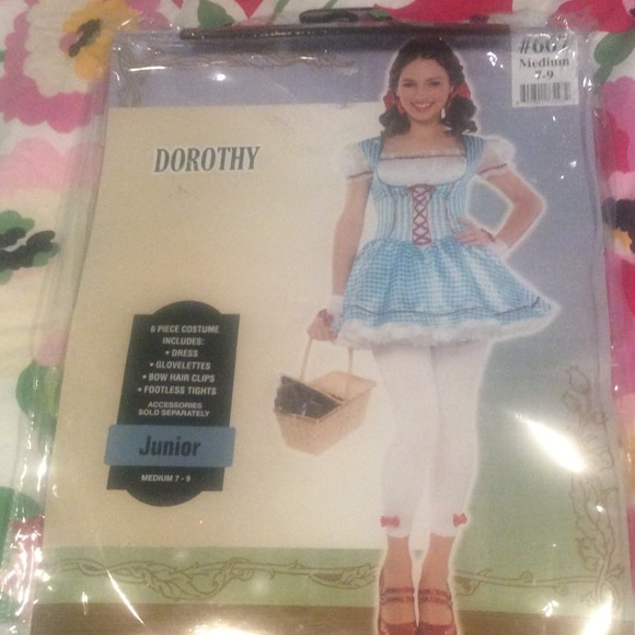 Dorothy Costume
