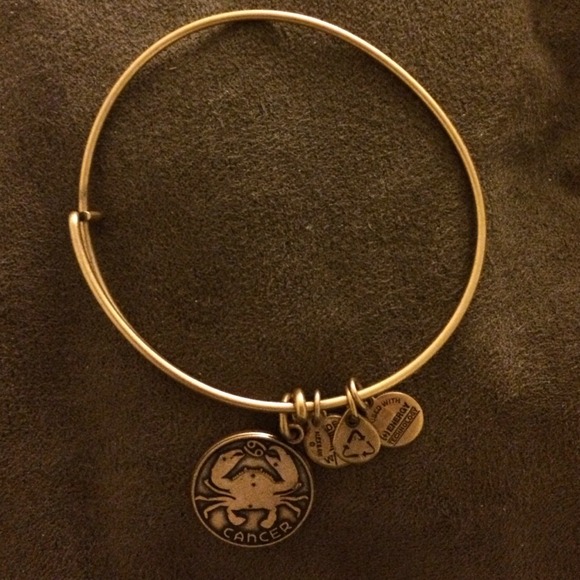 Alex and ani bracelet