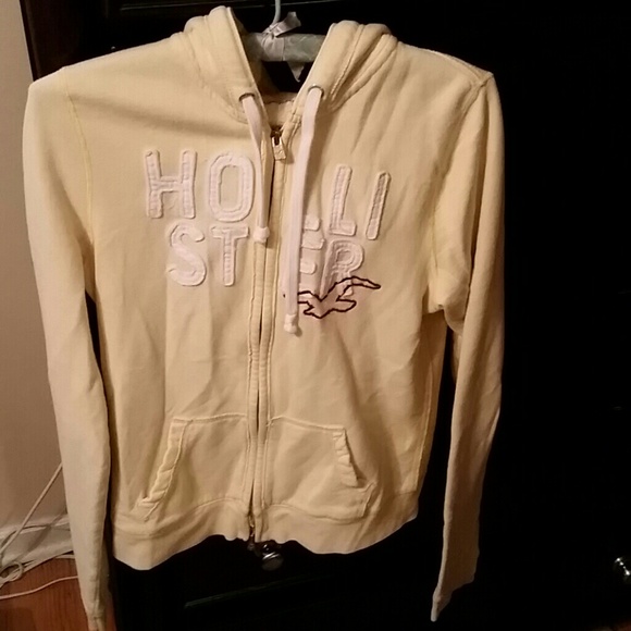 💲💲 sold💲💲Hollister hoodie