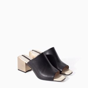 Looking for zara mules