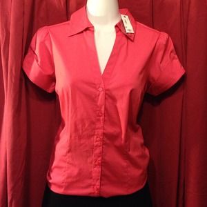 Button Down by the Limited