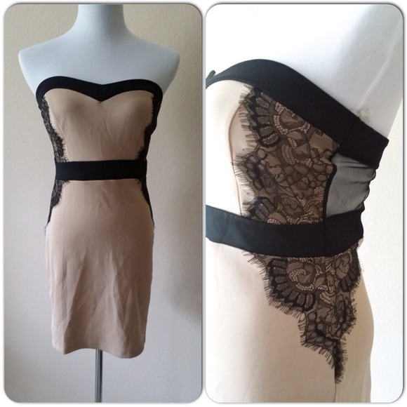 🌞final sale🌞beige black lace bodycon - Picture 2 of 2