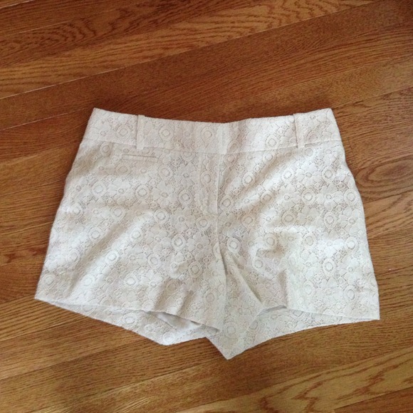 Loft shorts