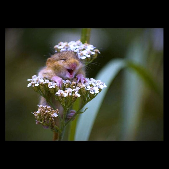 bundle for kpridemore