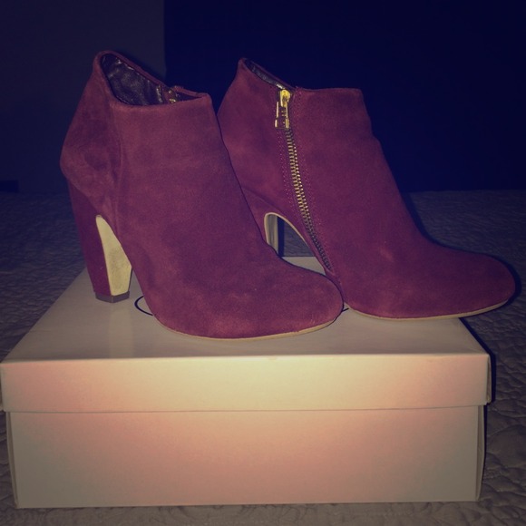 Steve Madden Shoes - Burgundy Booties w Gold detail