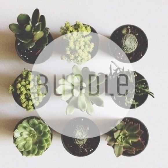 Bundle for @linalinalina53