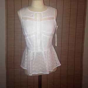 Lace fit and flair top