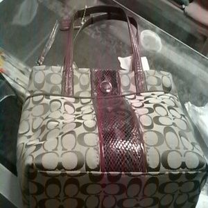 New coach handbag