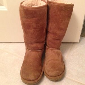 Chestnut tall uggs